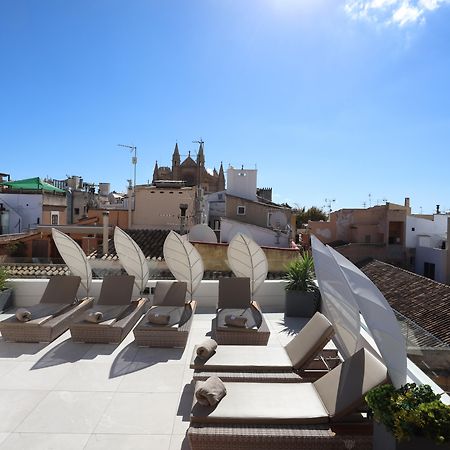 Bo Hotel Palma エクステリア 写真 The hotel's rooftop